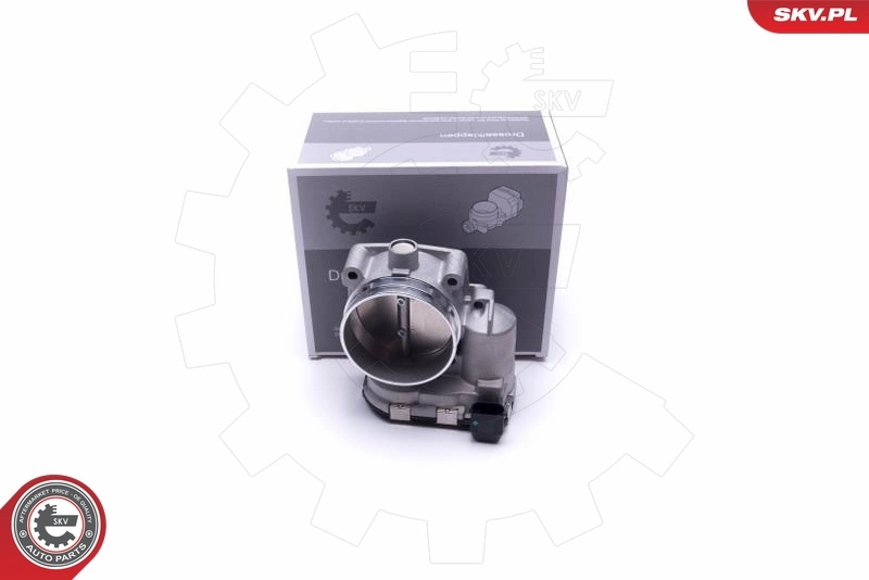 Throttle Body